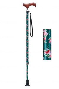 yizPCEzXsAEV[Y@Lk/O[ԕ/-O[ԕ-E-255Ayʓr͘A܂ALZԕisz