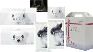 yizqlsA lsA@ZuMtg WIDE5 NHS-2002209 B1074620yʓr͘A܂z