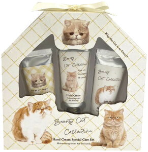 yiz nhN[XyVPAZbg GL]`bNV[gwA 180-172581 C6022519yʓr͘A܂z