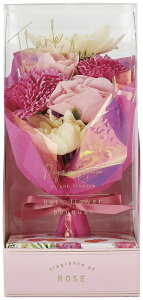 yizfCYCu[ oXt[u[P [Y 12214001 C6022589yʓr͘A܂z