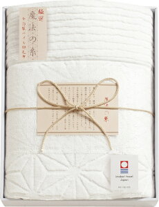 yizɑI@̎ pCȖѕz AI-10017 C6086557yʓr͘A܂z