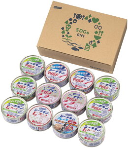 yiz͂t[Y SDGsV[`LMtg SDGs-30 C6186530yʓr͘A܂z