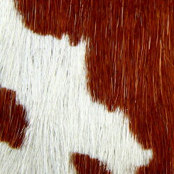 楽天市場 フロッグカード 全5色 ハラコ がま口 小銭入れ 財布 カードケース 小銭入れ 親子がま口 レザー 牛革 本革 ハラコ アニマル柄 レオパード 迷彩 かわいい 日本製 Agility Affa アジリティアッファ 2512 パドドゥ 楽天市場店