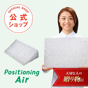 �y���N �M�t�g �N���X�}�X ���Ε�zPositioning Air�i�|�W�V���j���O �G�A�[�j�_��C�������̈ʕϊ���^�i�J�o�[����j�y�̈ʕϊ��N�b�V���� �O�p�N�b�V���� �􂦂� �ې� ���� ��� ���p