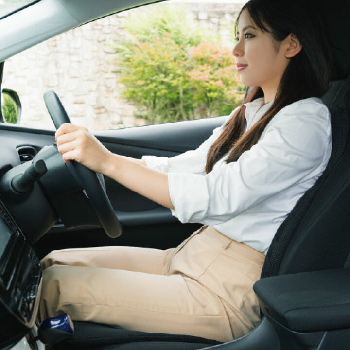 楽天市場】【送料無料】p!nto Driver LIGHT ピントドライバーライト 