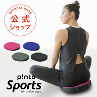 p!nto SPORTS 体幹筋を目覚めさせる3次元形状・最軽量クッション ピントスポーツ 正しい姿勢習慣（pinto …