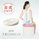 p!nto TRONCO 体幹の土台を作る3次元形状クッション ピントトロンコ 正しい姿勢習慣（pinto tronco）【疲労 姿勢 猫背…
