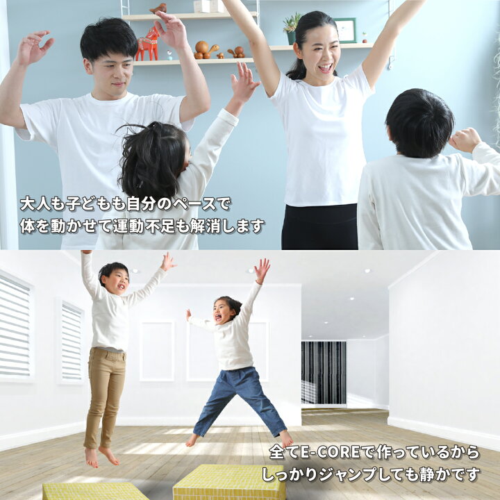 楽天市場】おうちで楽しいTOVOCCA（トボッカ）室内 エクササイズ 静音 