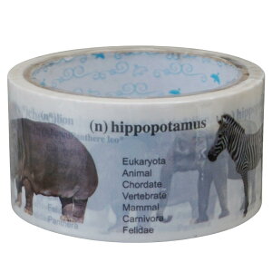 e[v e[v p  pbLO yd-tape pbLOe[v Tt@ (48mm×25m)z fR[V 킢  48 fUC z 䕗 DIY ͗lւ S tBe