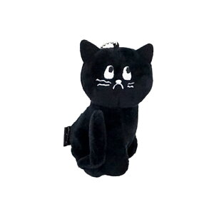 yXőP5{z y french cats ʂ݃`[ L[`F[ z  킢 ʂ  ӂ tt uh fB[X Y  ̎q q w w 