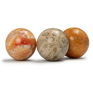 y1 r[YztHVR[ 10mm/   uE ɍ ^C 3 f p[c }`J[  VR  a p[Xg[ o ۋ 