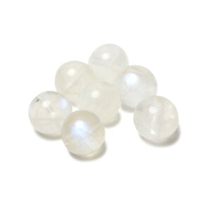 y1 r[Yzu[[Xg[ 8mm ɍ l vw~  ^C 6 f p[c  VR  zCg  a p[Xg[ o ۋ 