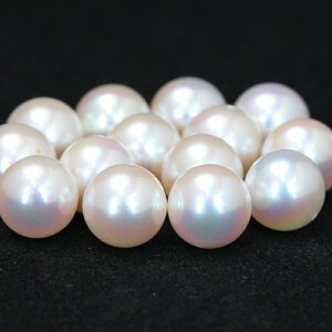 y1 r[YzAR^ 8mm ɍ ^C N 6 f p[c  VR  zCg  a p[Xg[ o ۋ 