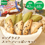 Pasco ロングライフ スコーンいっぱいセット 2種40個入 | パスコ スコーン チョコ 抹茶 ホワイトチョコ …