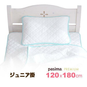 pV[}ō[v~A 120cmx180cm nWjA|TCY120x180cm 􂢌 114x171cmJ[oCXwH5̏k݂l