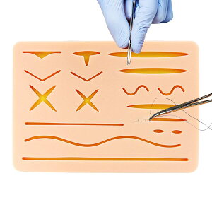 DKpbh DKLbg lH畆 DKp g[jOpbh i VR JԂp\ OȌP w p utɓKp DZbg