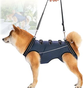 pn[lX  pn[lX s⏕ V  pi EȒP V//p//aC ^ ^   r Q nr U  ̑Oƌ둫̕⏕ o