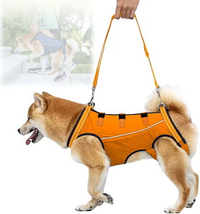 pn[lX  pn[lX s⏕ V  pi EȒP V//p//aC ^ ^   r Q nr U  ̑Oƌ둫̕⏕ o