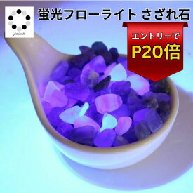さざれ石 蛍光フローライト 50g Fluorite 蓄光 さざれ 浄化 インテリア 蛍石 天然石 パワーストーン 置物 石 Stone 開運 インテリア 鉱石 天然石 多肉植物 植物 化粧石 敷石 青緑 Pasmii