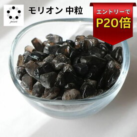 さざれ石 モリオン 黒水晶 中粒 100g 浄化 クラッシュストーン ネイル インテリア 天然石 パワーストーン オルゴナイト プレゼント 黒白 pasmii