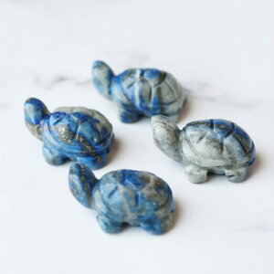  sXY T J[rO 1 VR u CeA fB[X Y v[g  RNV RN^[ ACe z VR N  J^ 