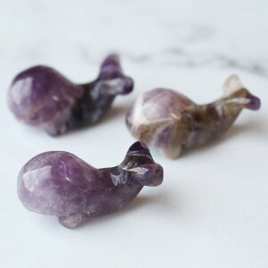 VR  u u 1 Ax` [YNH[c ^CK[AC  AWXg ~ v[g Mtg V CeA  Pasmii