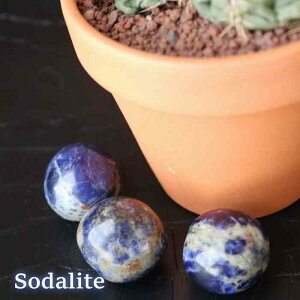 \[_Cg ^u MTCY 1 VR p[Xg[ u CeA }N҂ nhCh RNV p[Xg[  pasmii