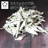 ホワイトセージ 浄化 無農薬 カルフォルニア産 10g ～ ホワイト セージ スマッシング 瞑想 リラックス ス…