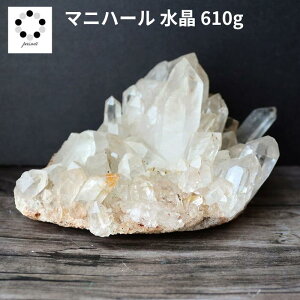 q}  NX^[ }jn[Y garsa kJ  610g VR p[Xg[ q}Y v[g  NH[c a 4 4  j Vzj  u LO a 