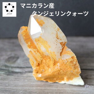 q}  ^WFNH[c }jJY dhara  110g VR p[Xg[ q}Y v[g  NH[c a 4 4  j Vzj  u LO a