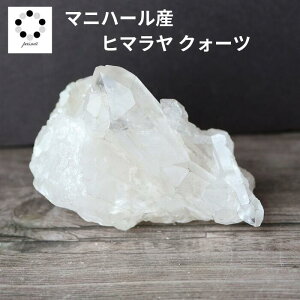 q}  NX^[ }jn[Y garsa kJ  120g VR p[Xg[ q}Y v[g  NH[c a 4 4  j Vzj  u LO a 