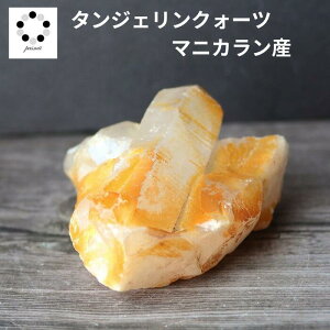 q}  NX^[ }jJY  110g VR p[Xg[ q}Y v[g  NH[c a 4 4  j Vzj  u LO a 蕨 