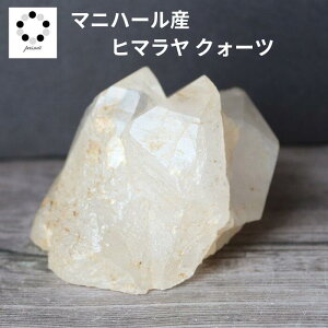 q}  NX^[ }jn[Y  180g VR p[Xg[ q}Y v[g  NH[c a 4 4  j Vzj  u LO a 蕨 