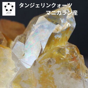 q}  NX^[ }jJY ^WFNH[c  180g VR p[Xg[ q}Y v[g  NH[c a 4 4  j Vzj  u 