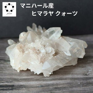 q}  NX^[ }jn[Y  190g VR p[Xg[ q}Y v[g  NH[c a 4 4  j Vzj  u LO a 蕨 