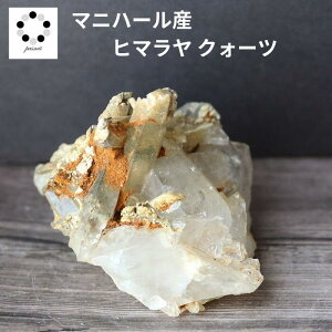 q}  NX^[ }jn[Y  222g VR p[Xg[ q}Y v[g  NH[c a 4 4  j Vzj  u LO a 蕨 