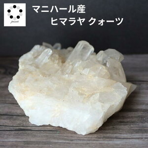 q}  NX^[ }jn[Y  350g VR p[Xg[ q}Y v[g  NH[c a 4 4  j Vzj  u LO a 蕨 