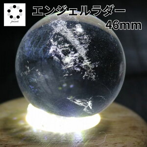 GWF_[ Be 46mm ۋ XtBA 1 Vg̒q p[Xg[  NH[c Mtg v[g 蕨 RNV 1_ {