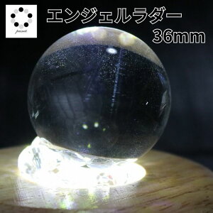 GWF_[ Be 36mm ۋ XtBA 1 Vg̒q p[Xg[  NH[c Mtg v[g 蕨 RNV 1_ {