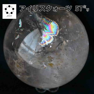  ACXNH[c ۋ 57mm XtBA VR VR   蕨 p[Xg[  v[g CeA LOi  upto