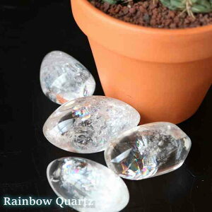 ACXNH[c   ^u 1 v[g  ۋ ۋ  VR XtBA v[g 蕨 C{[NH[c RNV }N҂