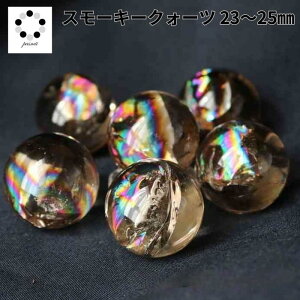 X[L[NH[c X[L[ ACX NH[c ۋ XtBA 23`25mm C1 VR     CeA v[g Mtg 蕨 fB[X Y NX}X