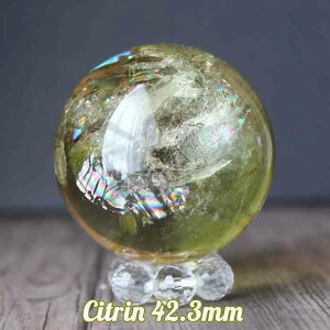 Vg ۋ XtBA 42mm VR p[Xg[  ^ d^ 蕨 CeA  u v[g