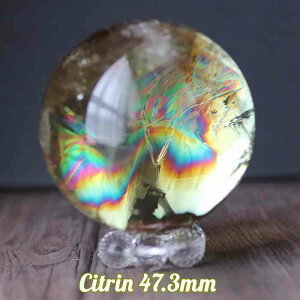 Vg ۋ XtBA 47mm VR p[Xg[  ^ d^ 蕨 CeA  u v[g