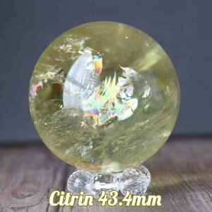 Vg ۋ XtBA 43mm VR p[Xg[  ^ d^ 蕨 CeA  u v[g