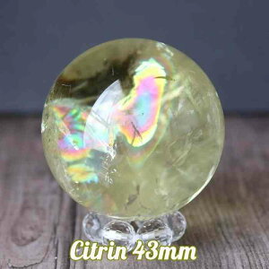 Vg ۋ XtBA 43mm VR p[Xg[  ^ d^ 蕨 CeA  u v[g