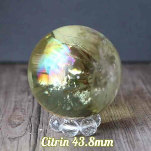 Vg ۋ XtBA 43 mm VR p[Xg[  ^ d^ 蕨 CeA  u v[g