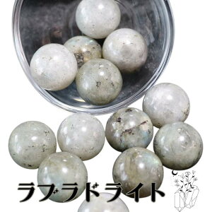 uhCg ~jXtBA 1 VR p[Xg[ u  }N C[ANZ v[g 蕨   pasmii