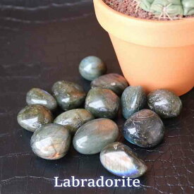 ラブラドライト タンブル M～L サイズ 1個 天然石 パワーストーン 置物 握り石 マクラメ ワイヤーアクセ プレゼント 贈り物 黒白 青紫 pasmii ほへ