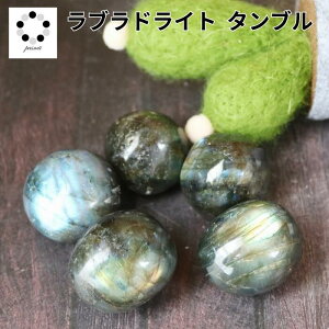 uhCg ^u Eh^ 1 VR p[Xg[ u  }N C[ANZ v[g   pasmii